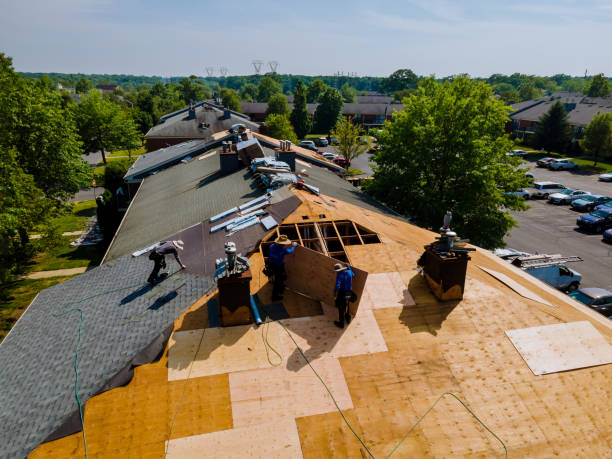 Trusted Roof Replacement service in Stony Creek, VA - Brentwood Metal Roofing